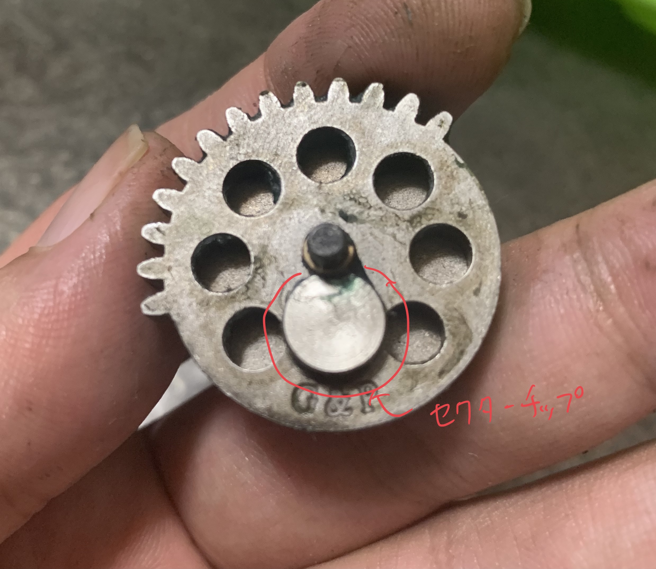 G&P XM177E1 AEG セクターギア