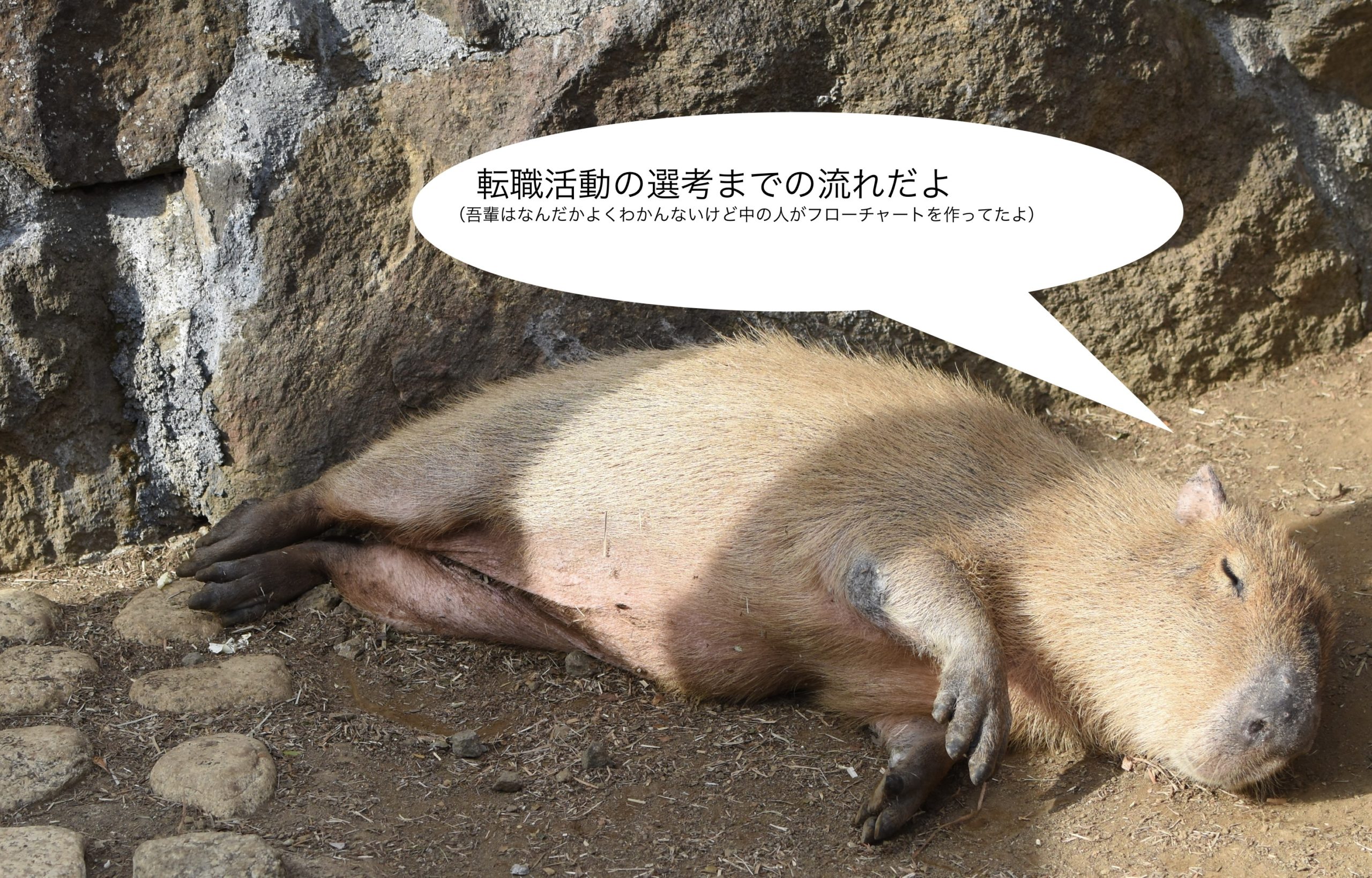 機械系エンジニアの転職活動　選考の流れ