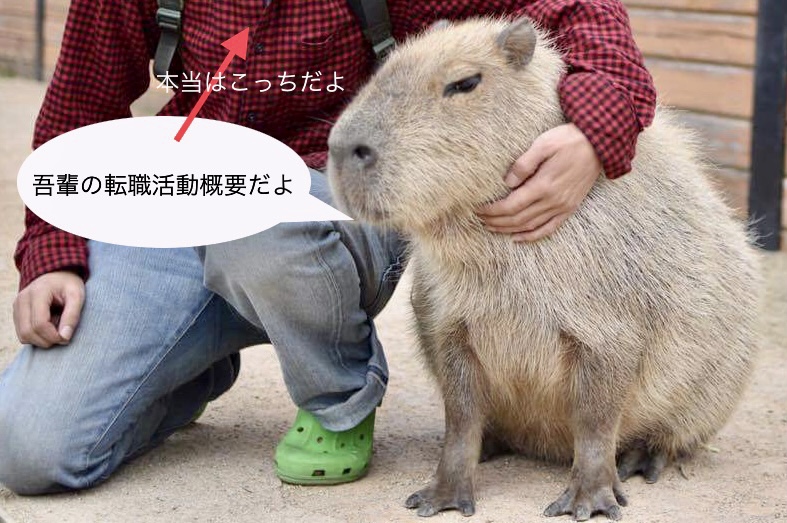 機械系エンジニアの転職活動