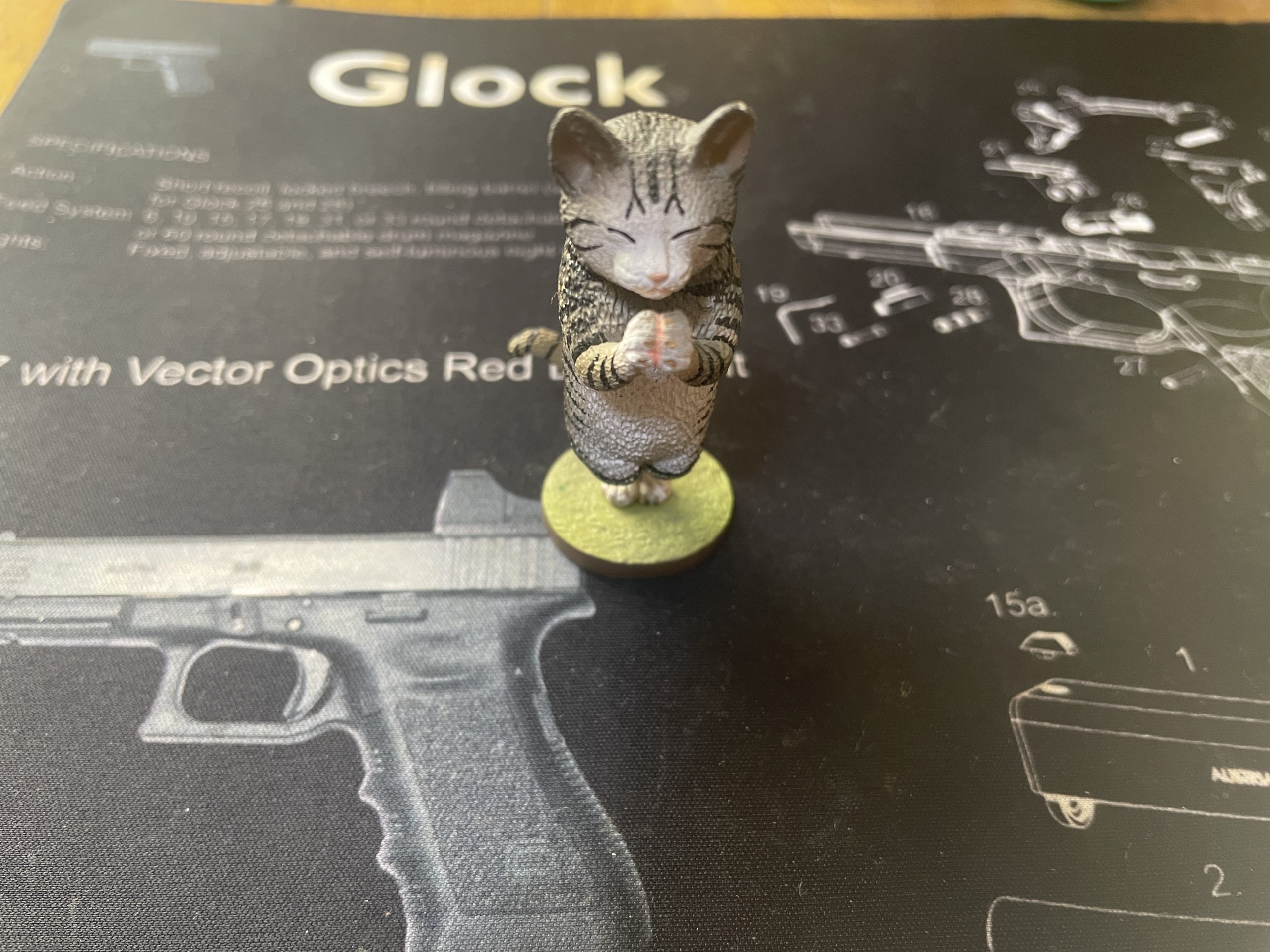 iPhone１２　拝み猫