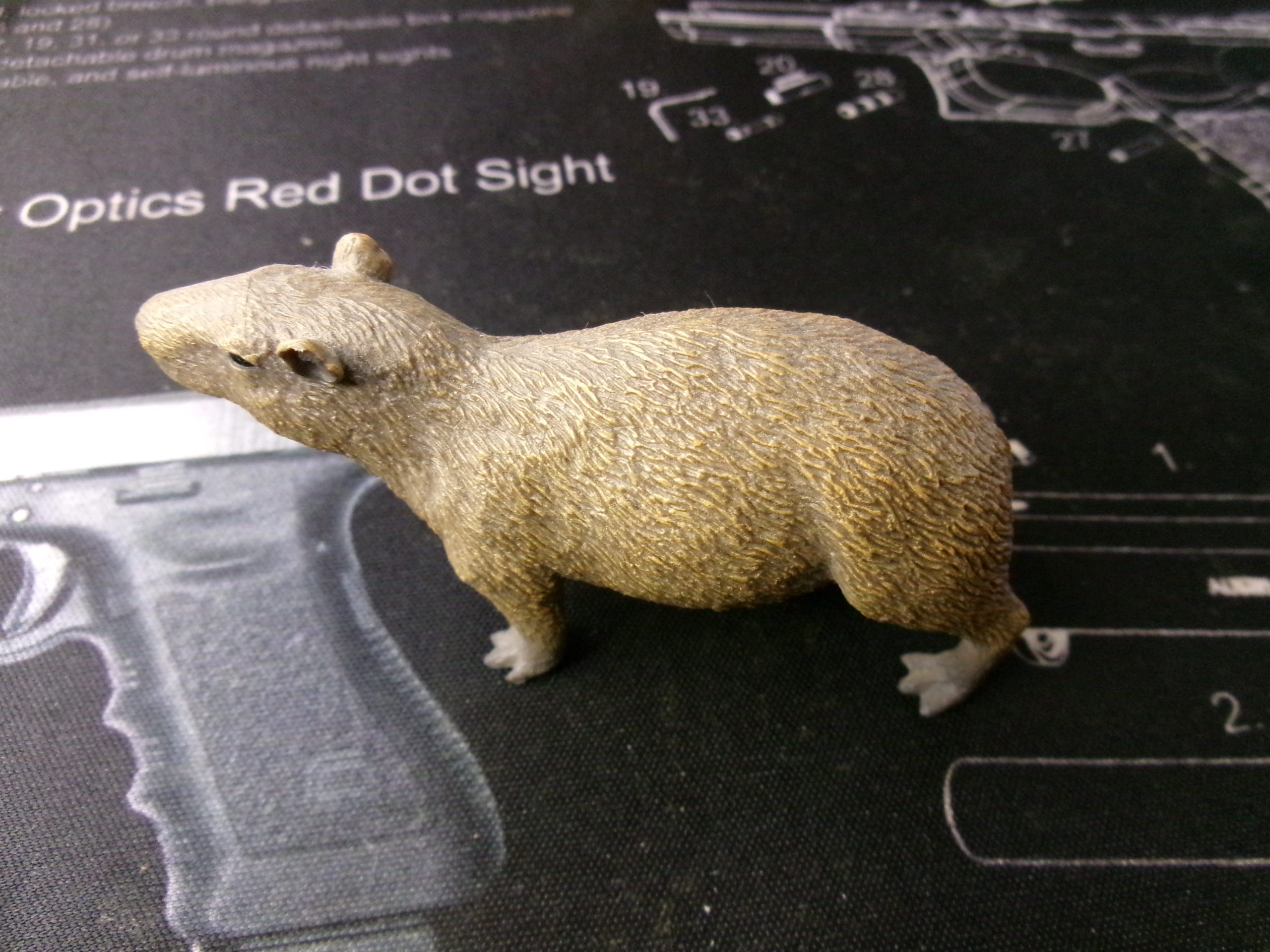 Kodak　FZ55　カピバラ