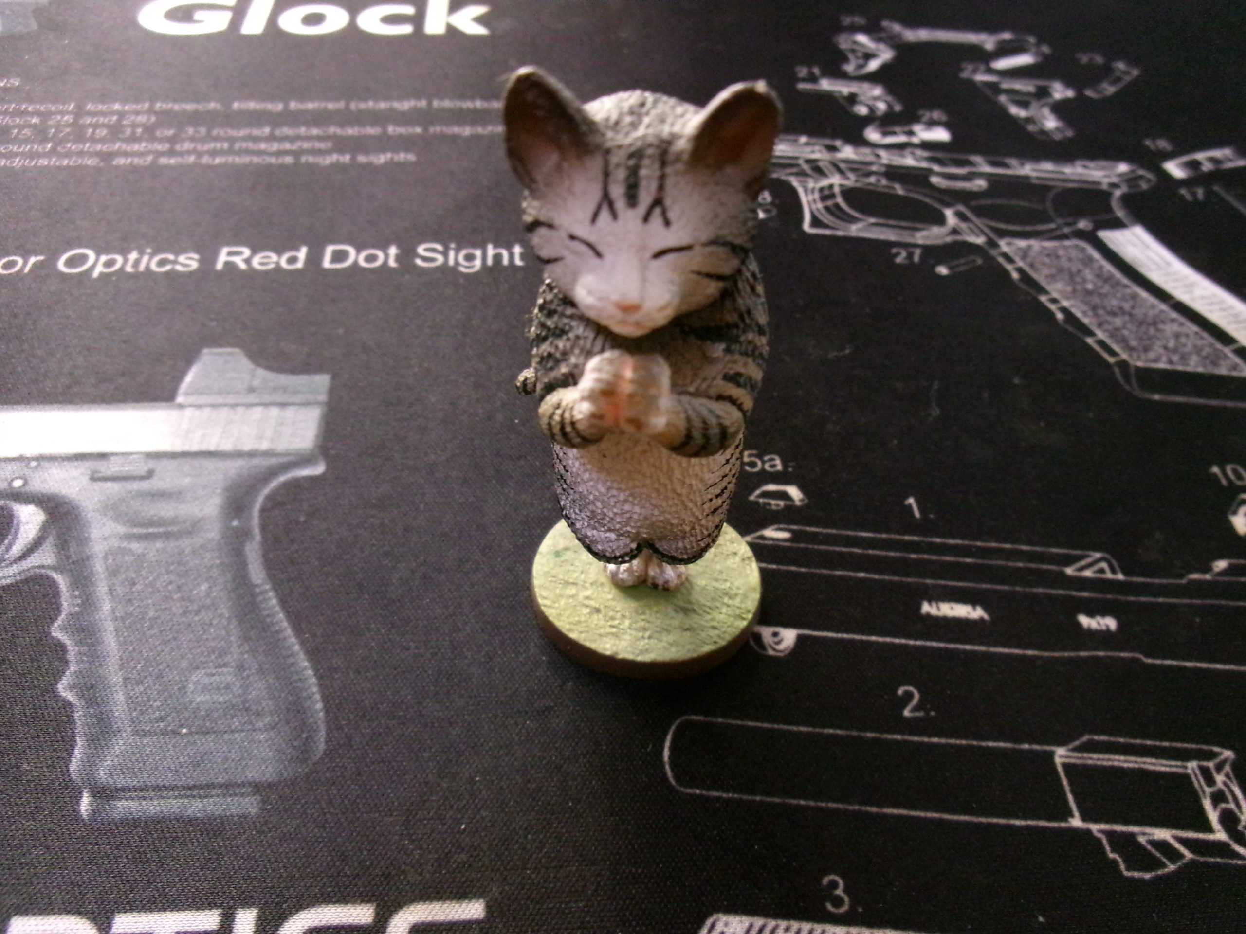 Kodak　FZ55　拝み猫