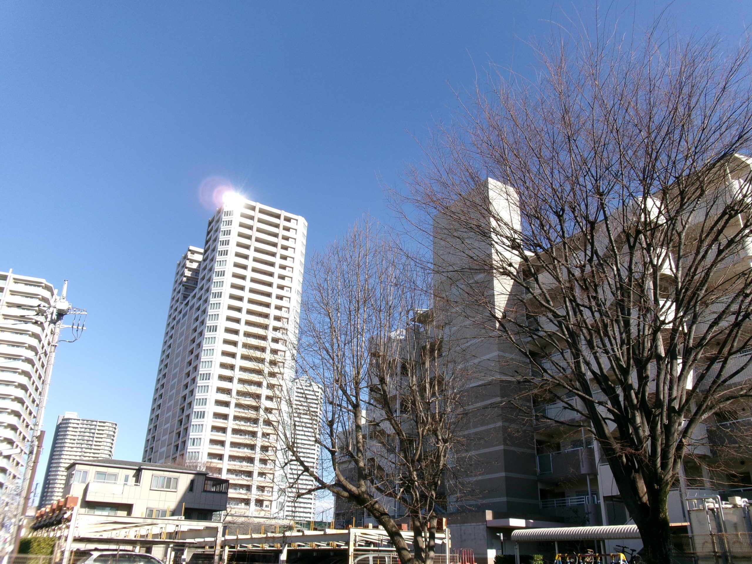 Kodak　FZ55　屋外テストショット１