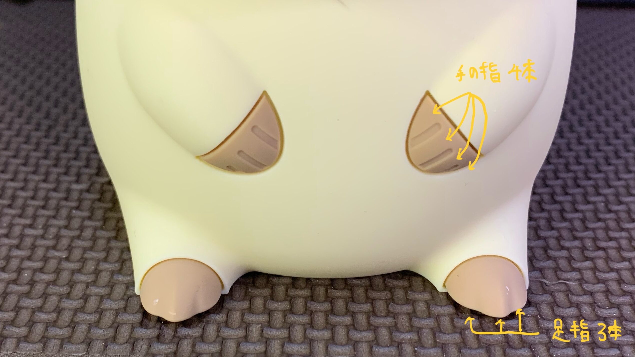 カピバラ ナイトライト 手足の指の数