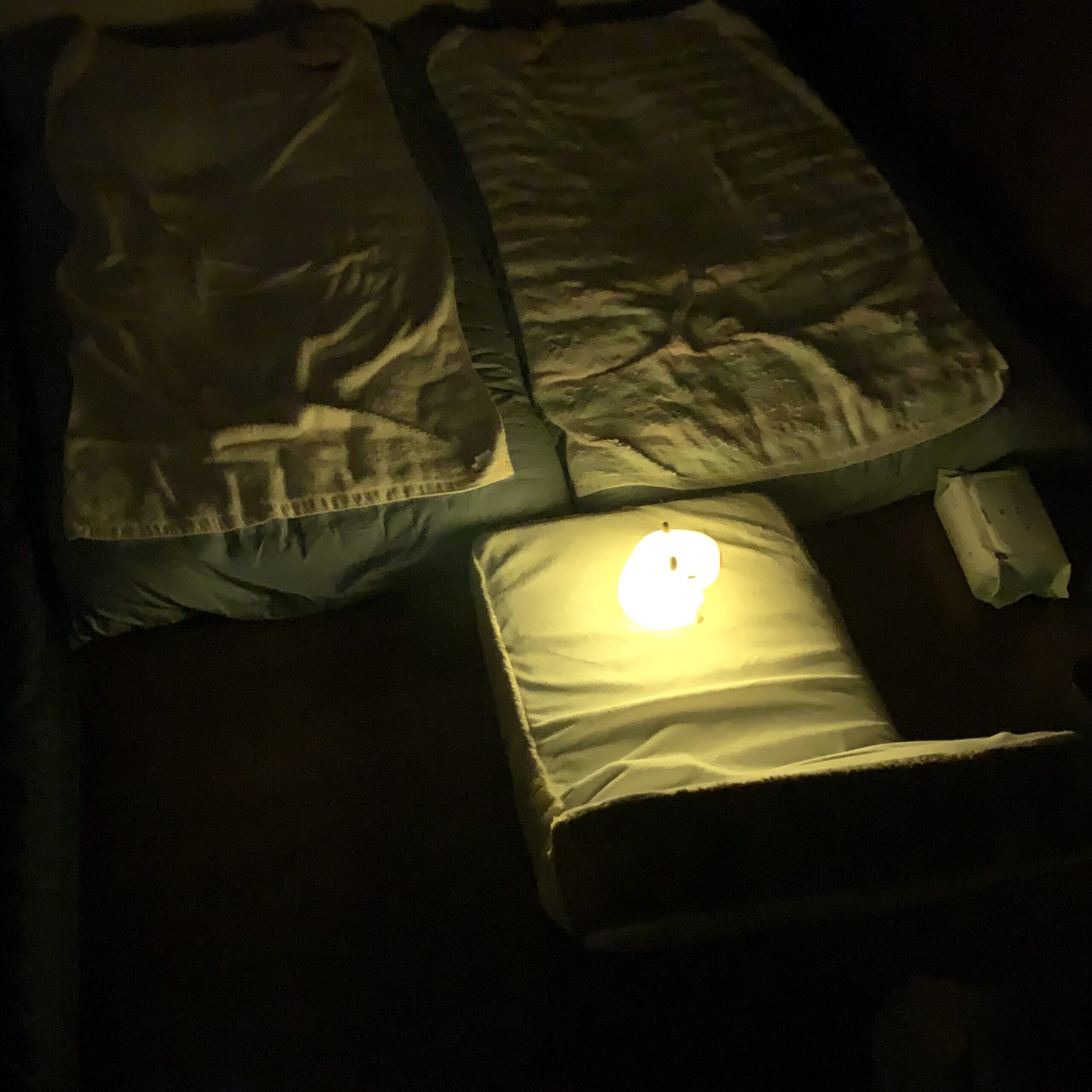 カピバラ ナイトライト 点灯 あカピバラ ナイトライト 点灯 輝度レベル弱