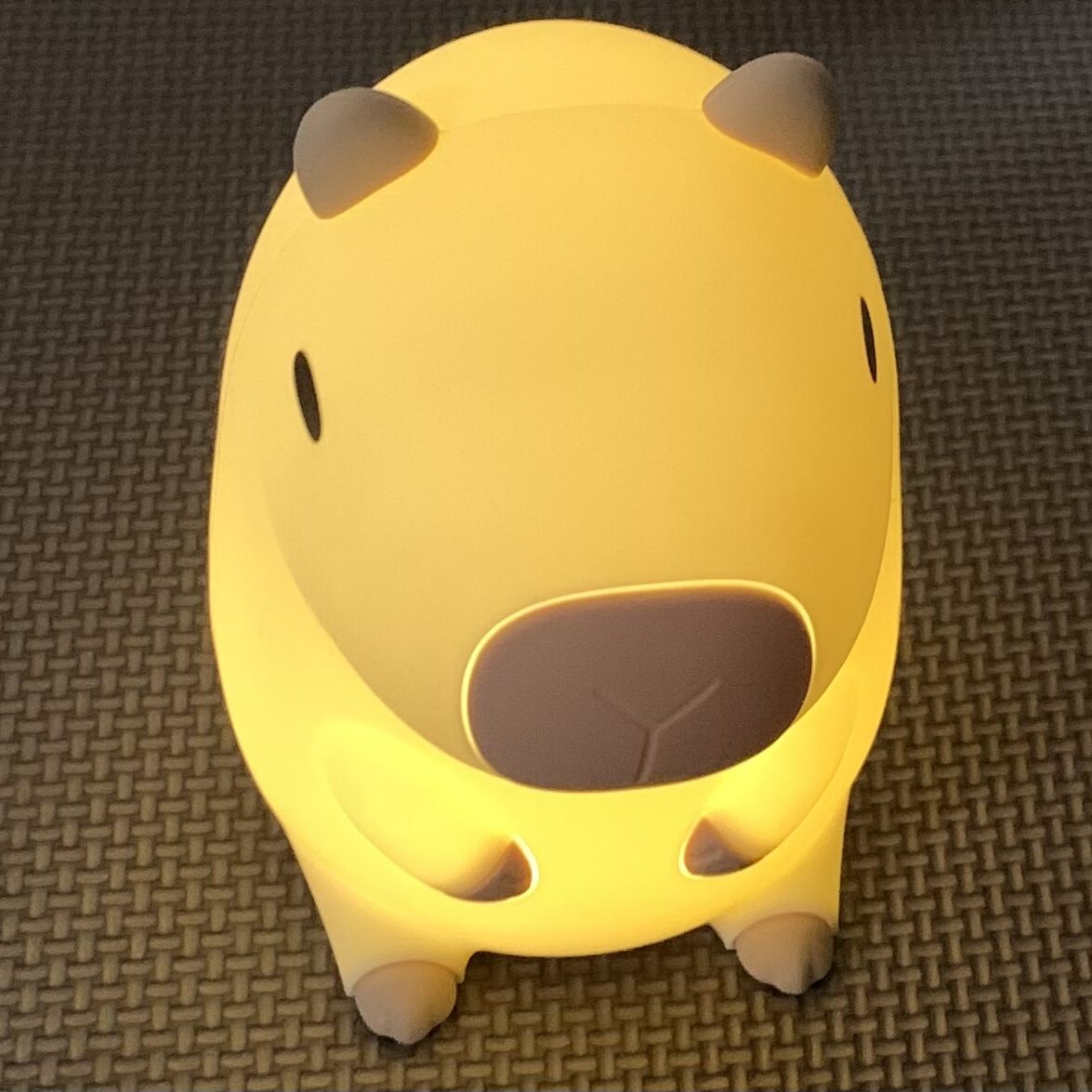 カピバラ ナイトライト 点灯 輝度レベル低