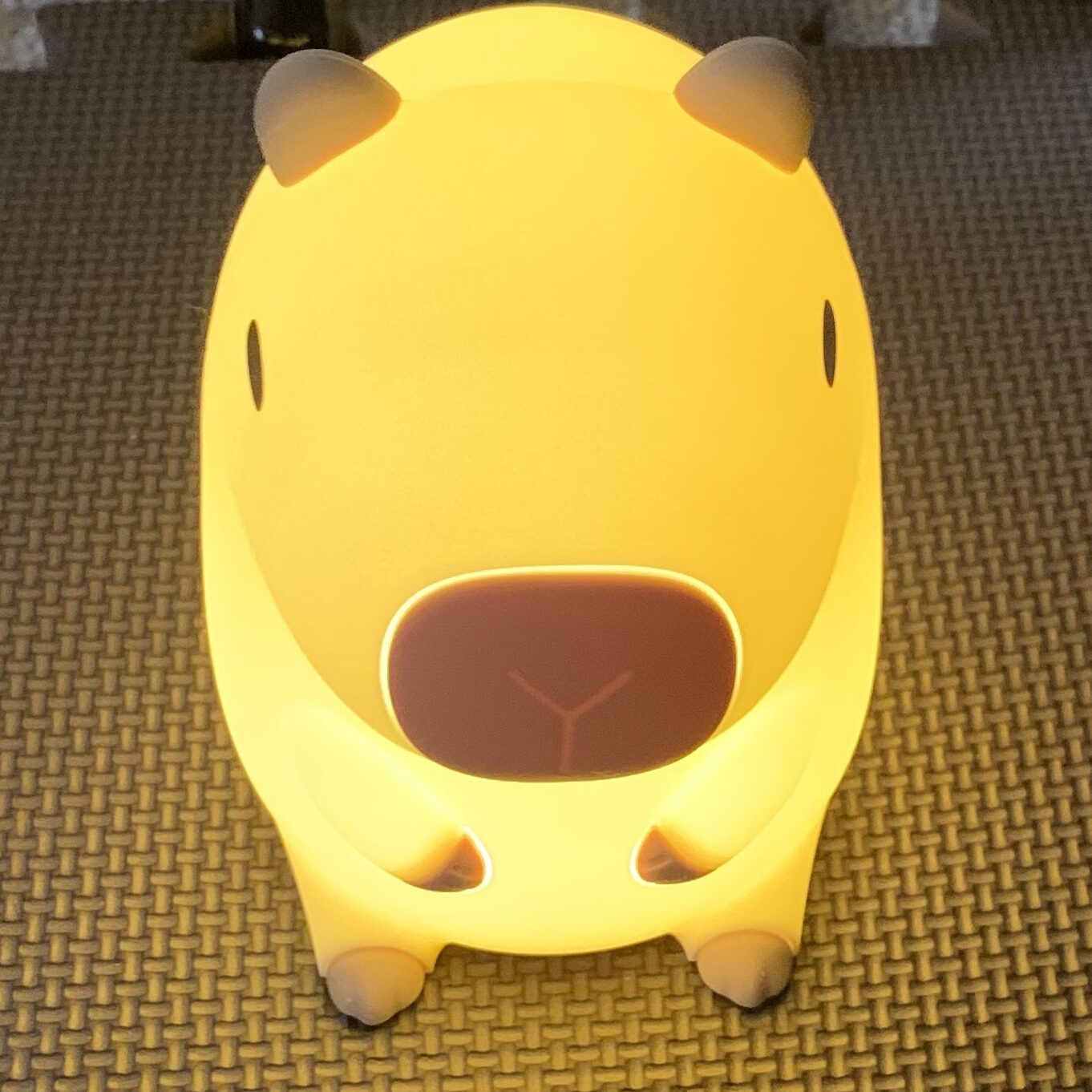 カピバラ ナイトライト 点灯 輝度レベル強