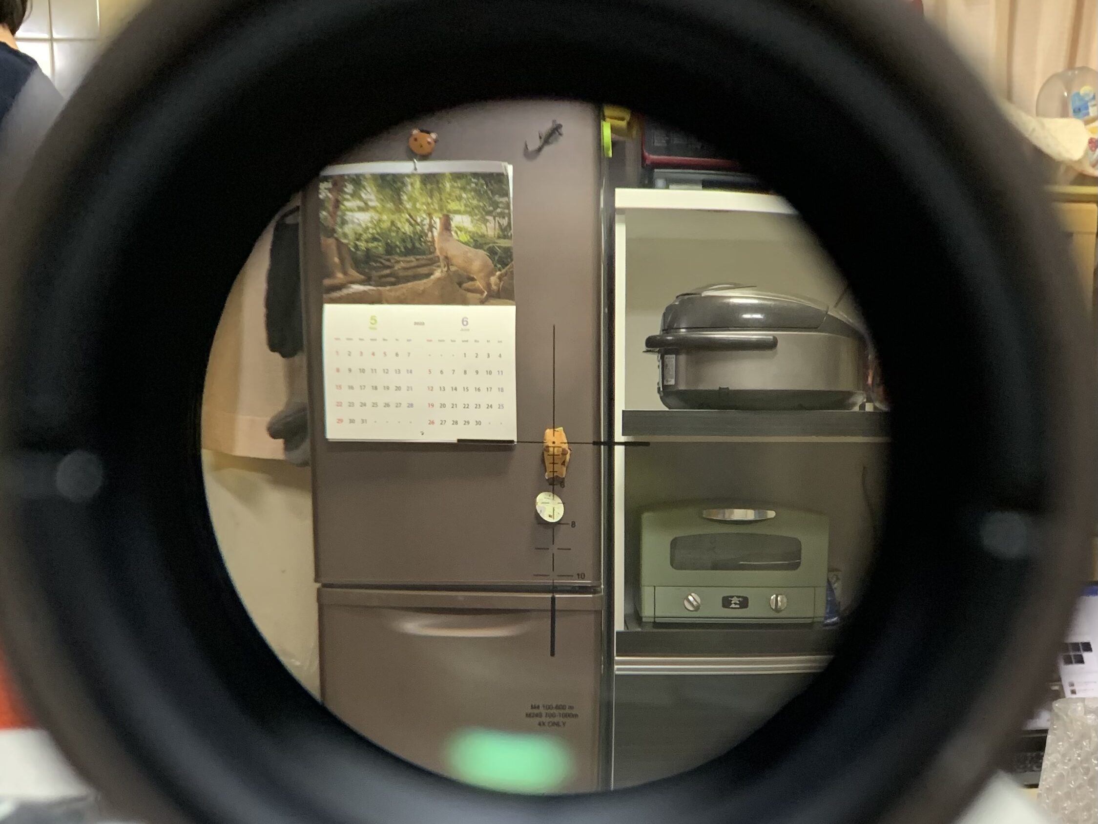 エボギア　エルカン　スペクターDR 等倍