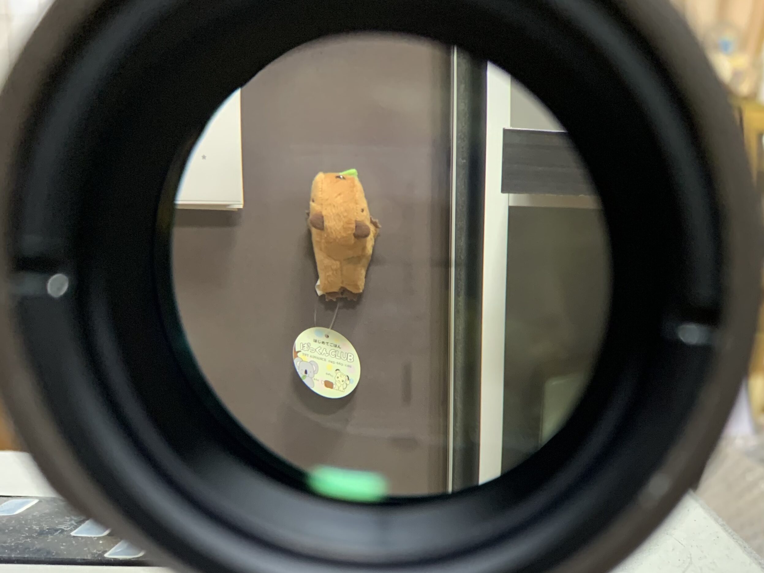 エボギア　エルカン　スペクターDR 4倍