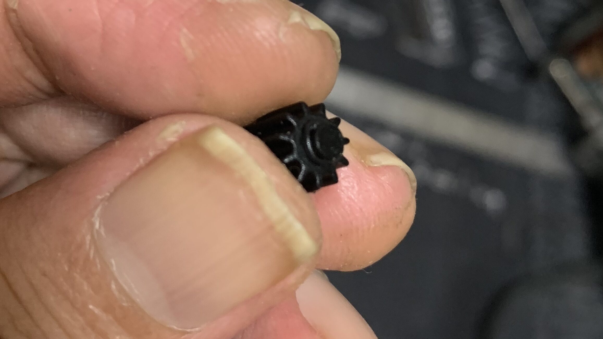 laylaxm17 せレーションの組み立て