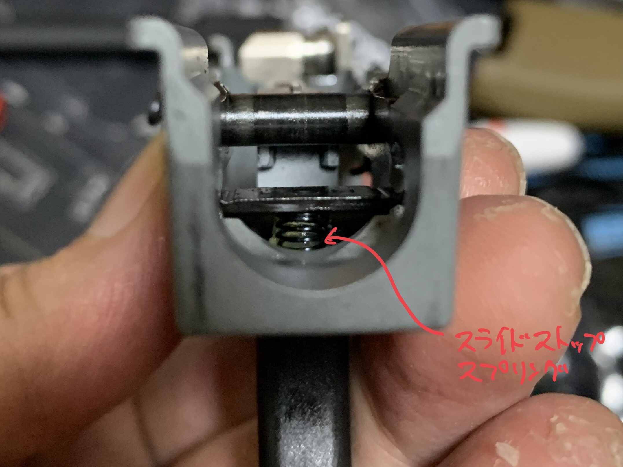 laylaxm17 fcu 正面