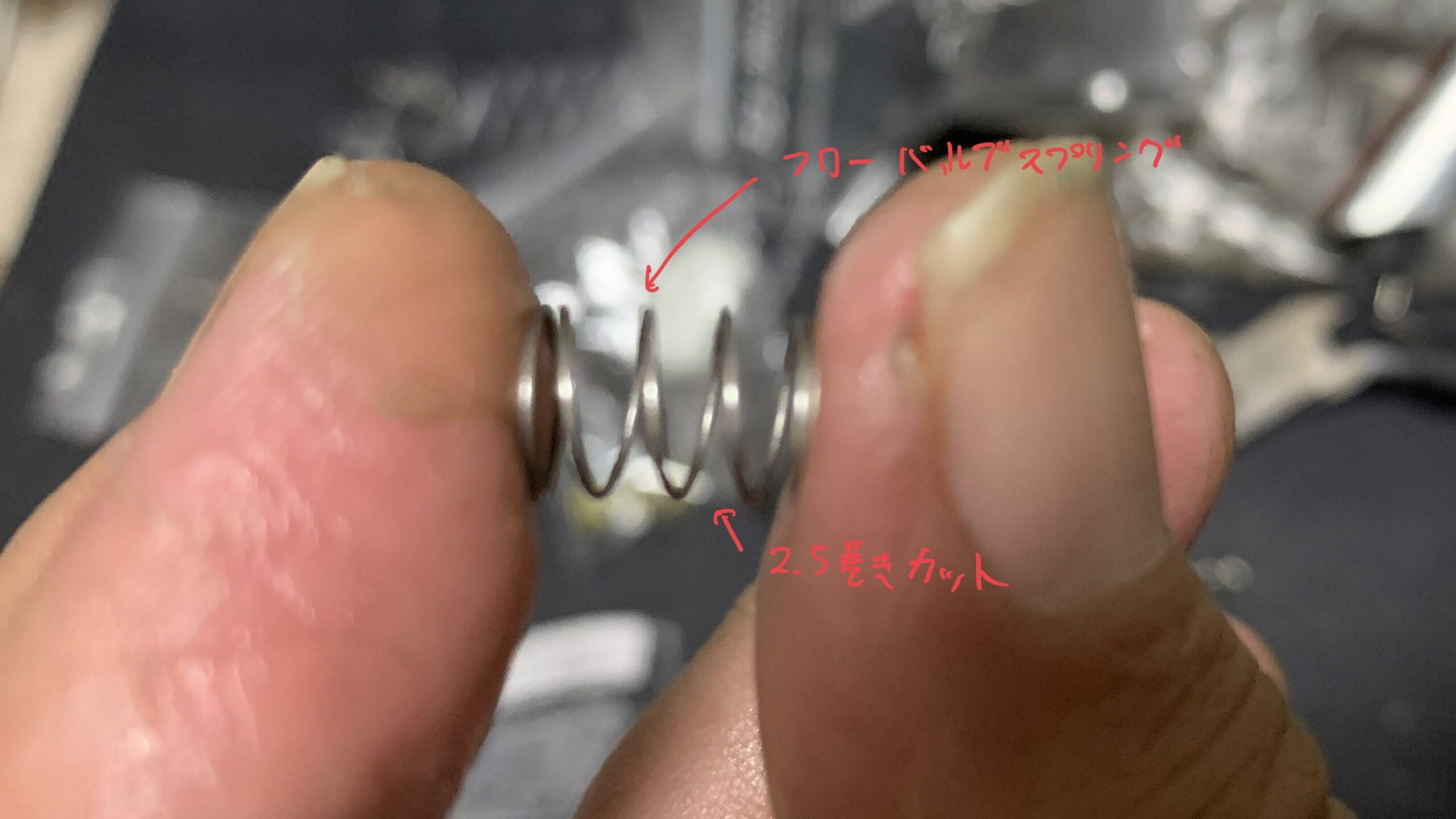 laylaxm17 フローバルブスプリングのカット