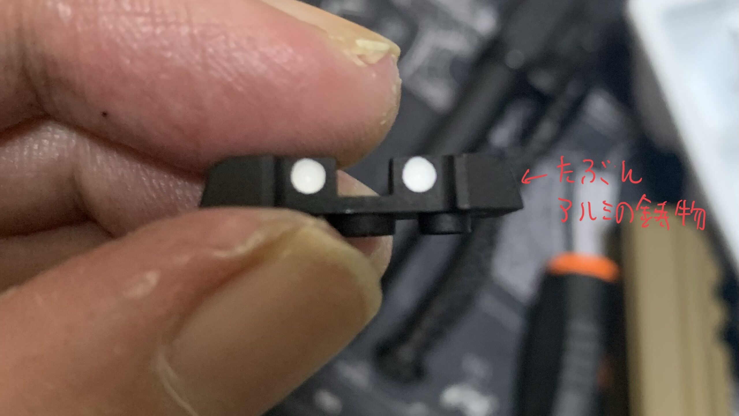 laylaxm17 リアサイト