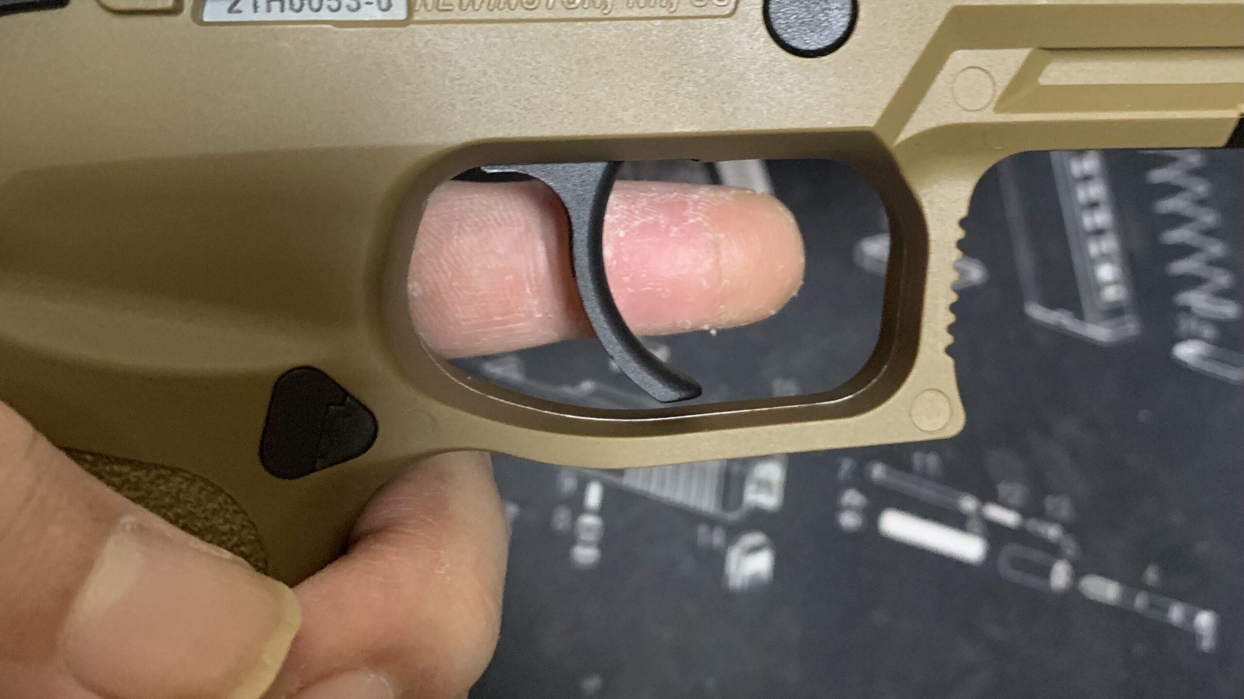 laylaxm17 トリガー