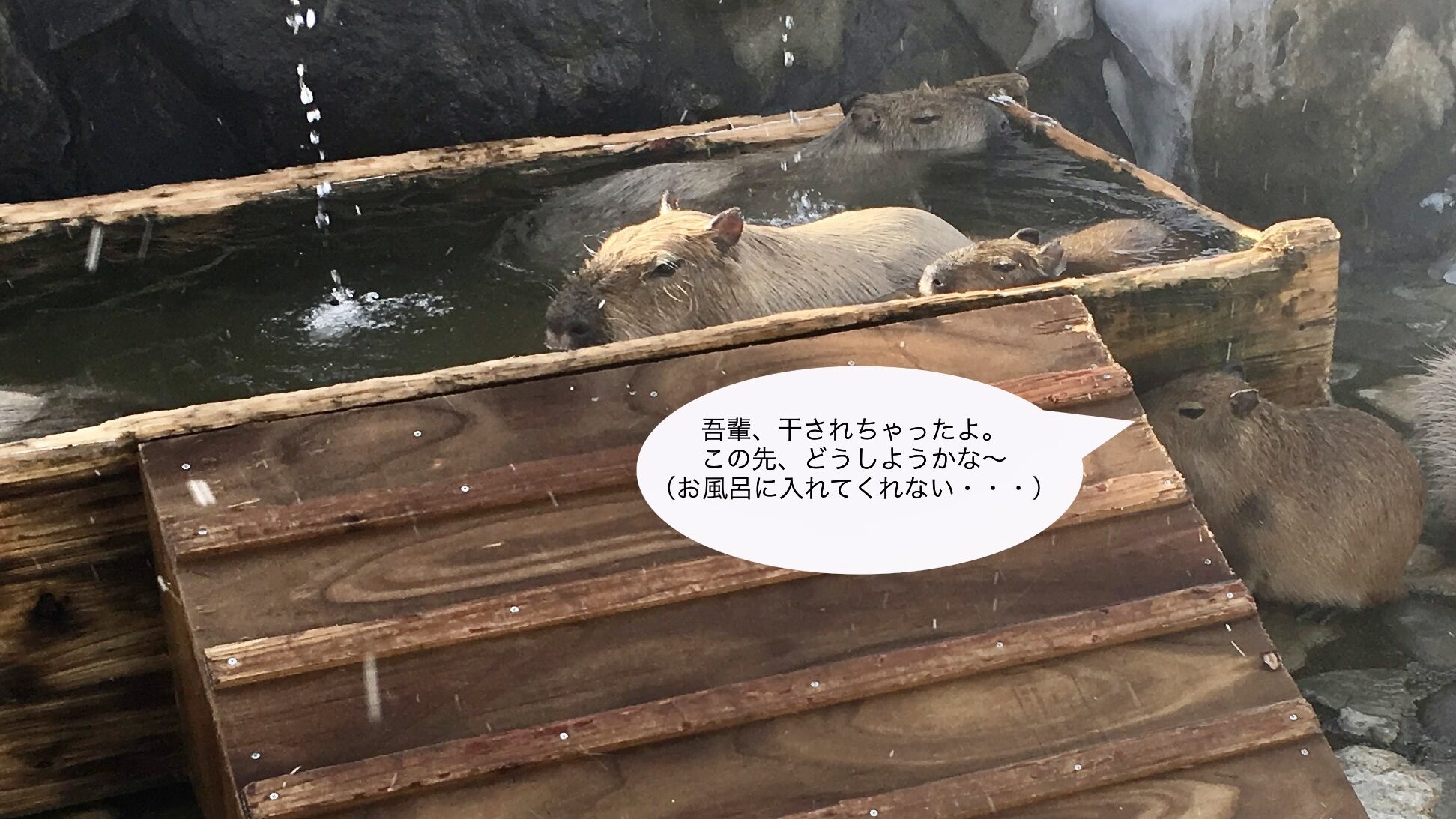 機械系エンジニアの転職活動　きっかけ