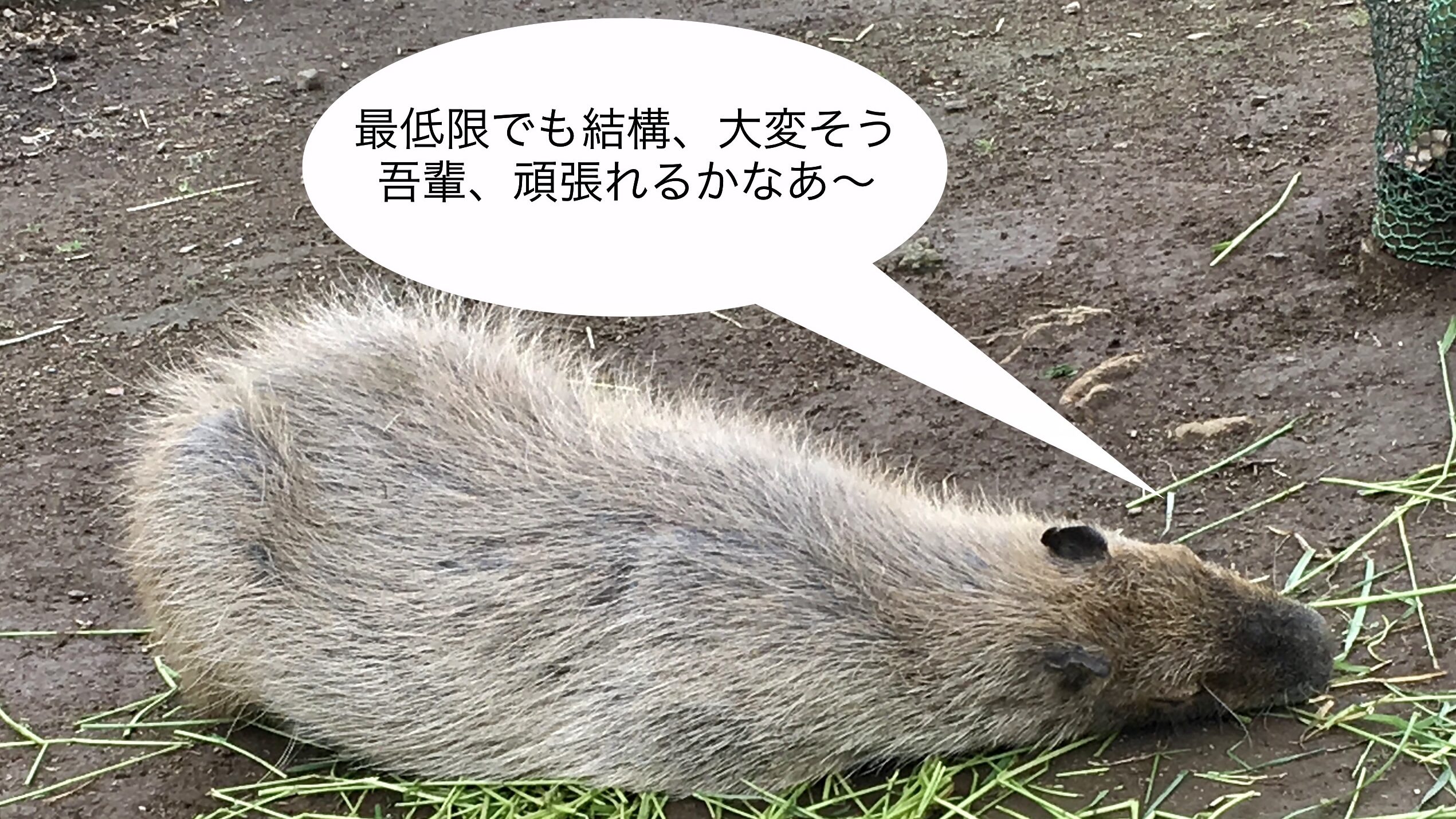 機械系エンジニアの転職活動　サイトに登録