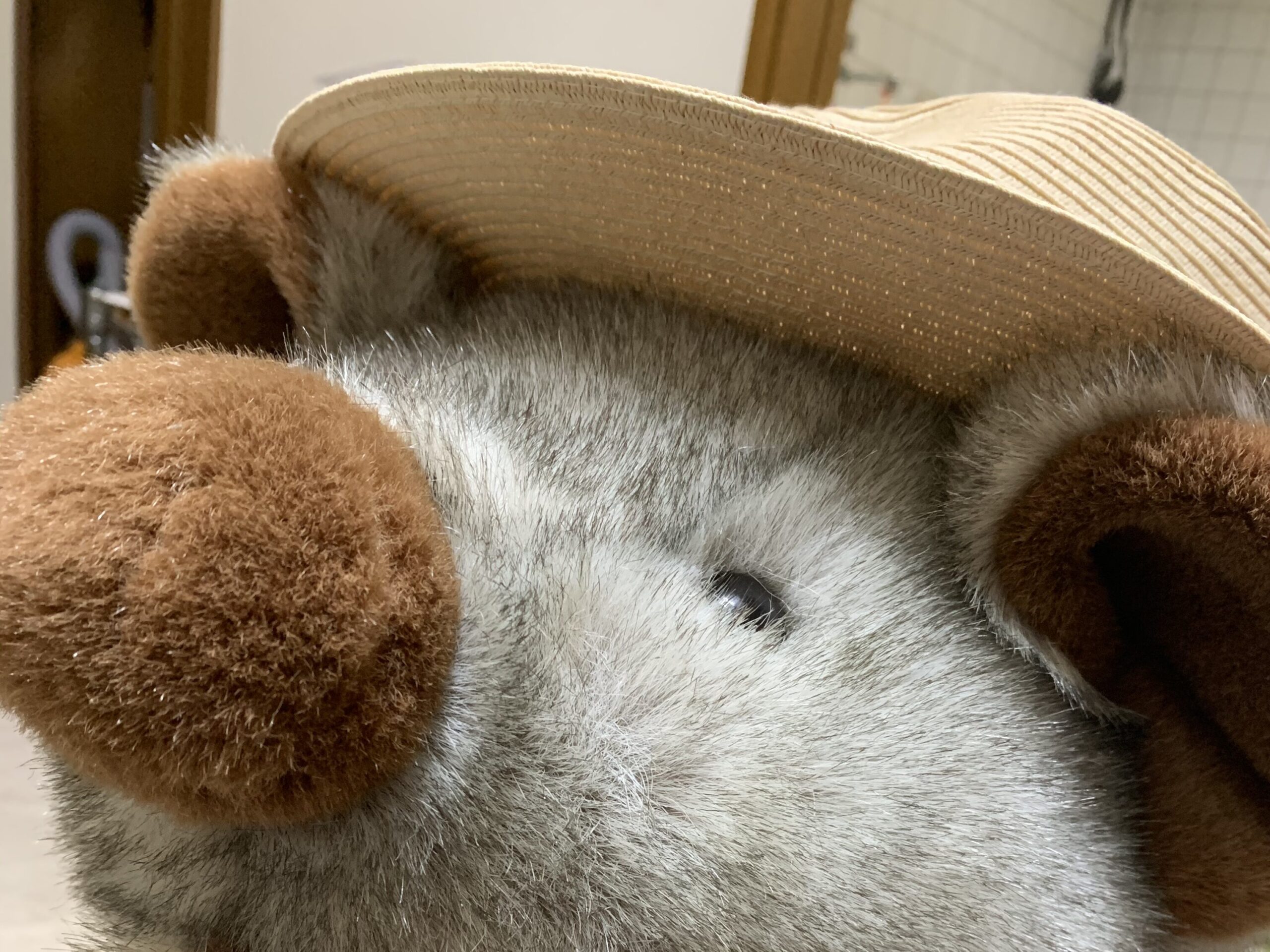 麦わら帽子を被ったブタのぬいぐるみ